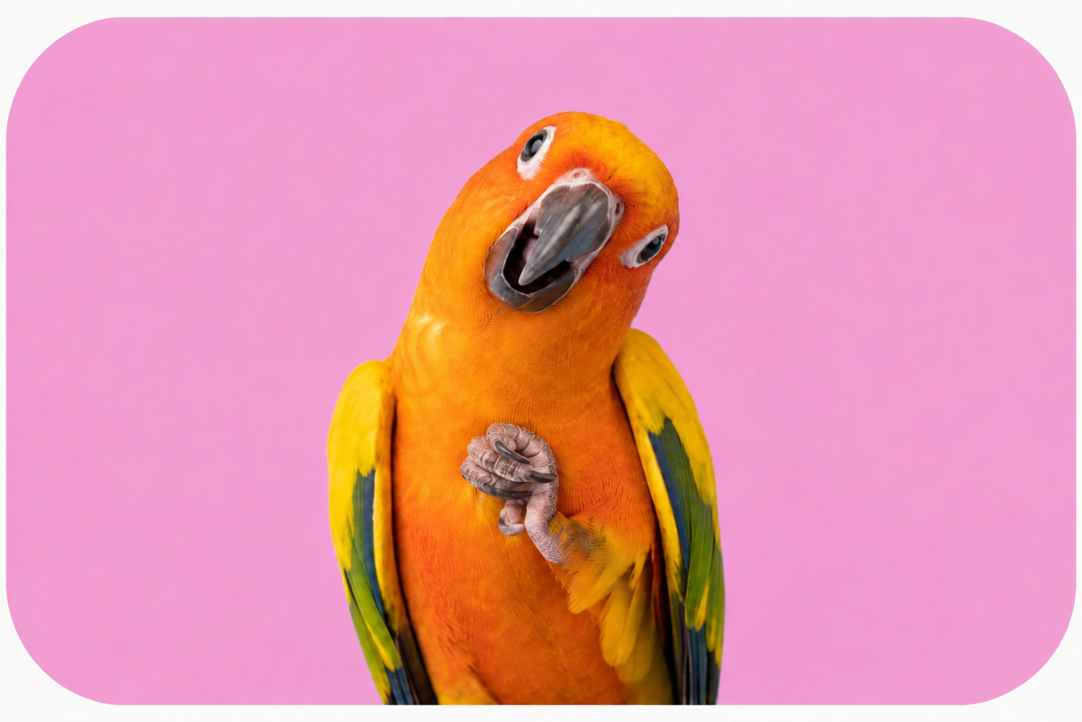 Vogel