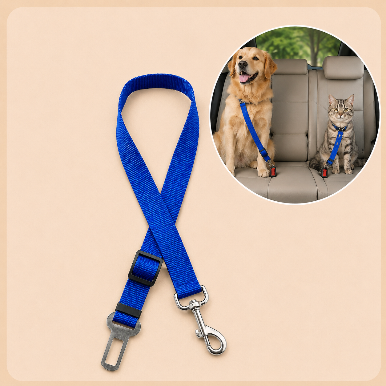 PawSafe