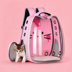 Tiertransport Rucksack