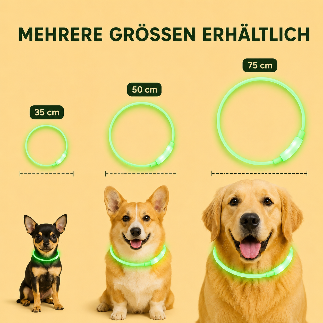 Leuchthalsband Pro
